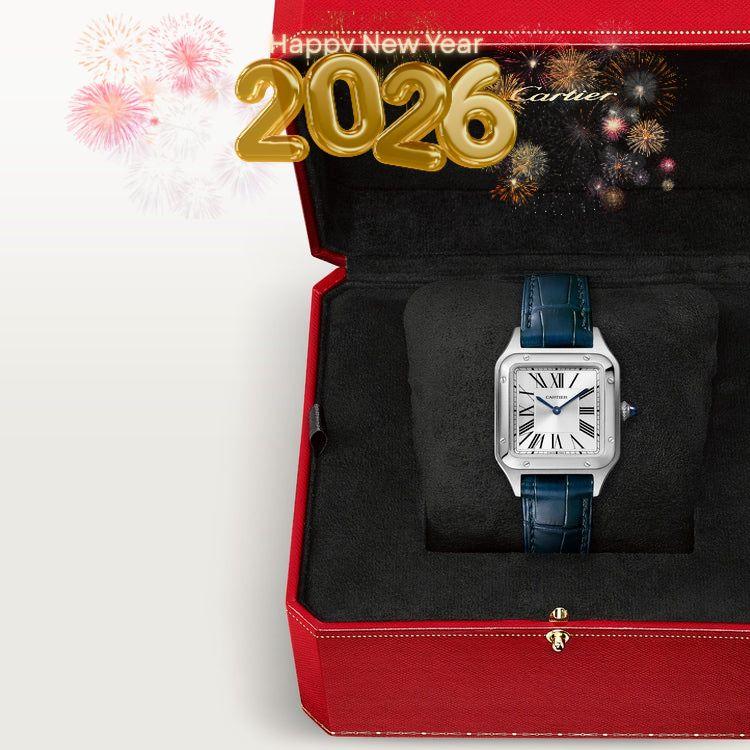 Santos-Dumont de Cartier Argenté/Bleu