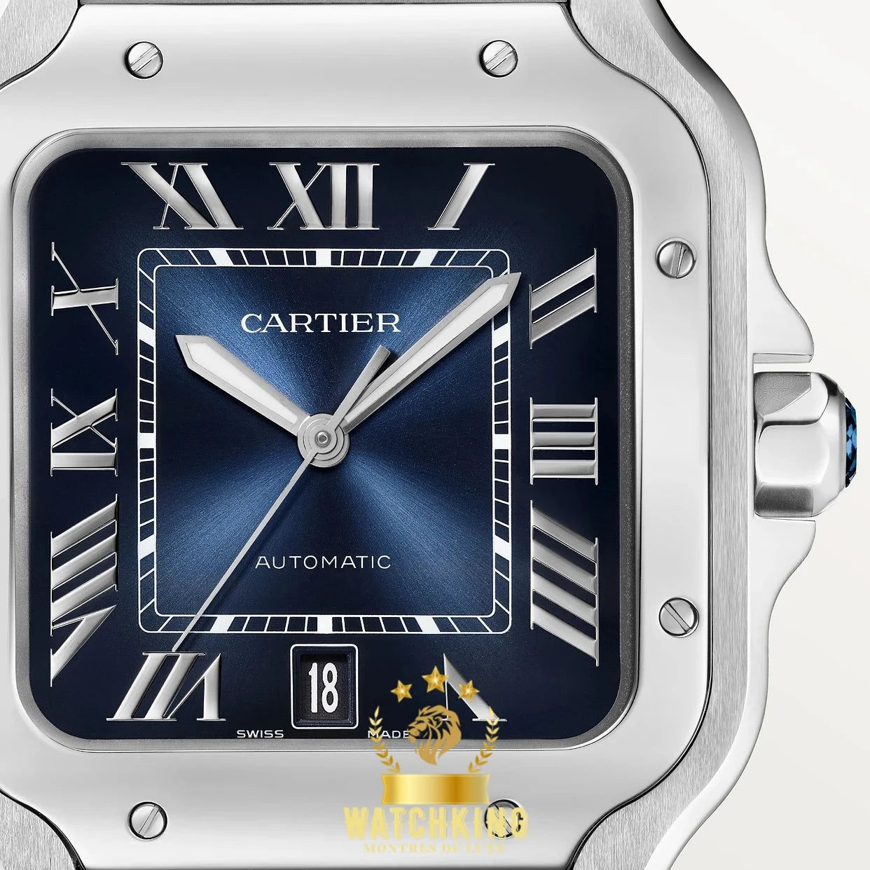 Santos de Cartier Bleu