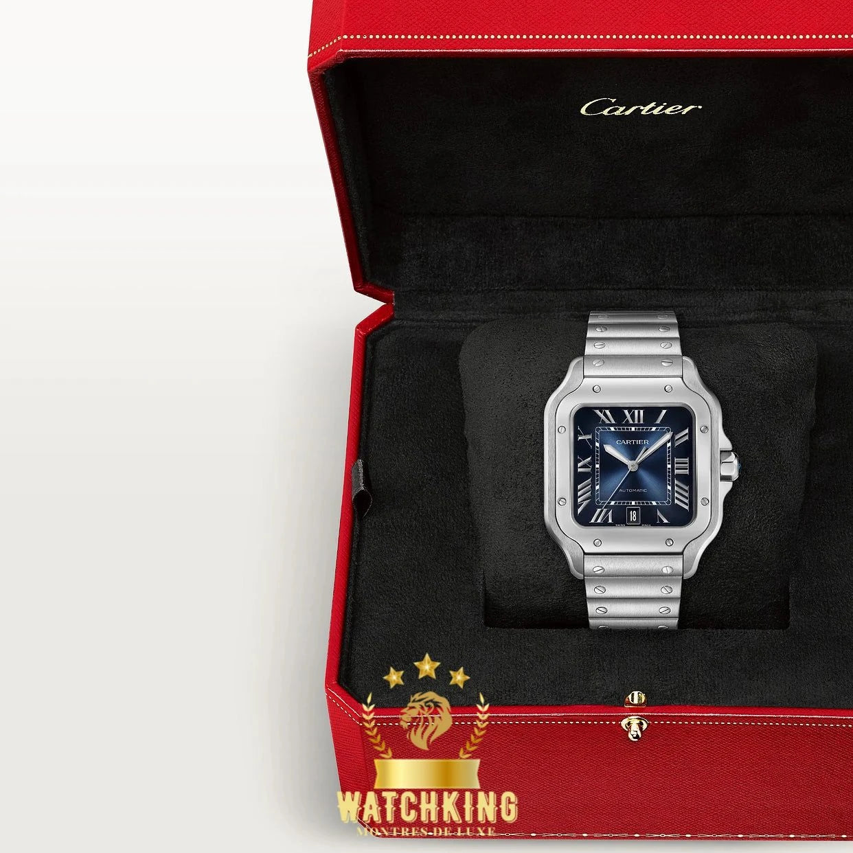 Santos de Cartier Bleu