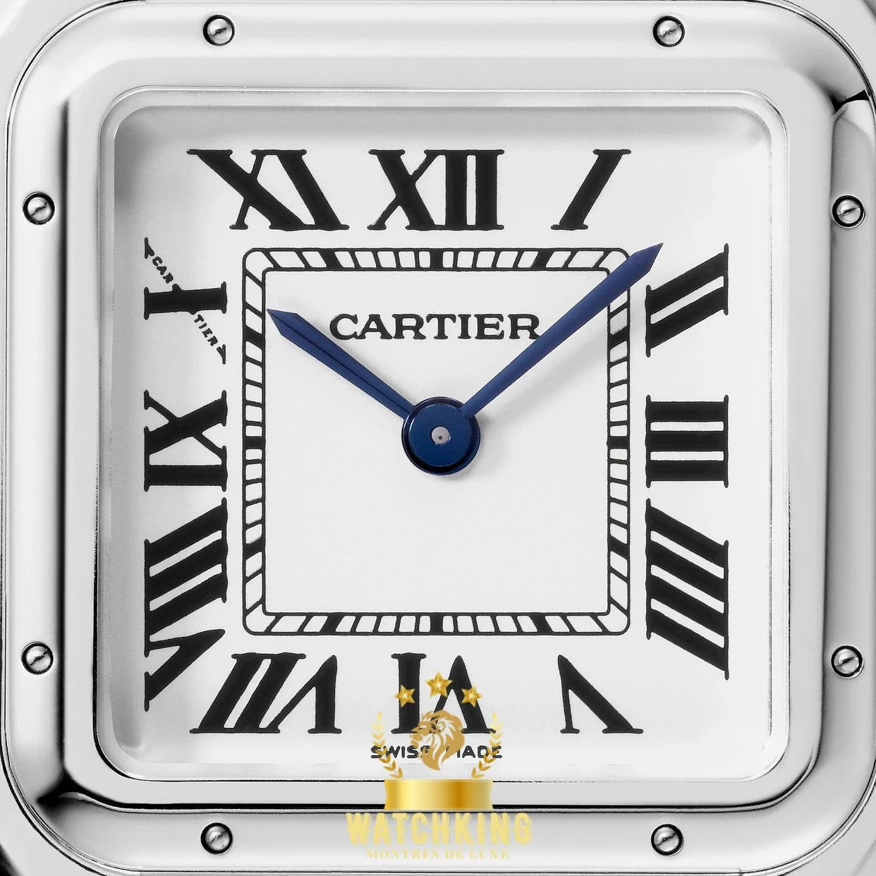 PANTHÈRE DE CARTIER Argenté