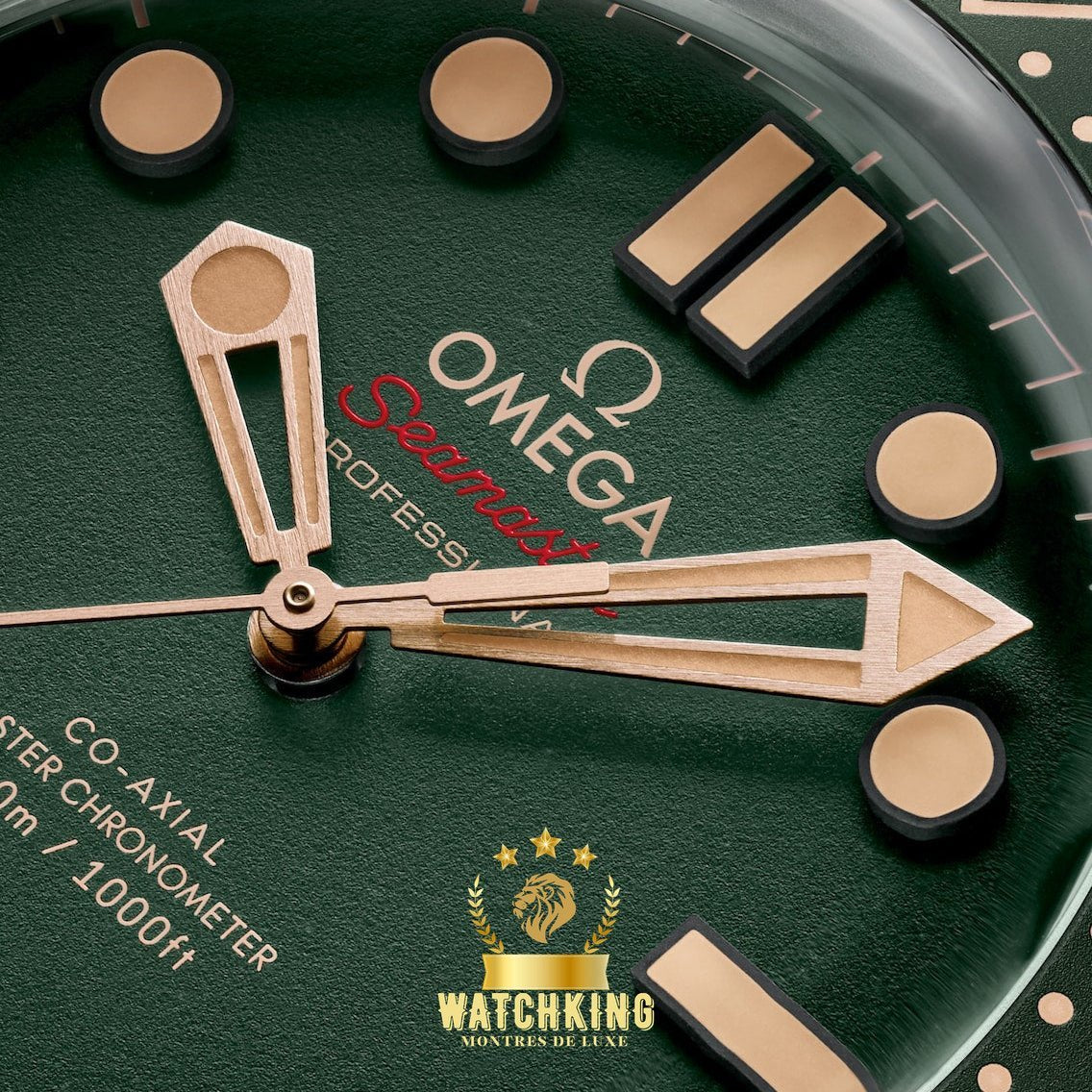 OMEGA Ω Seamaster DIVER 300M Vert 42mm