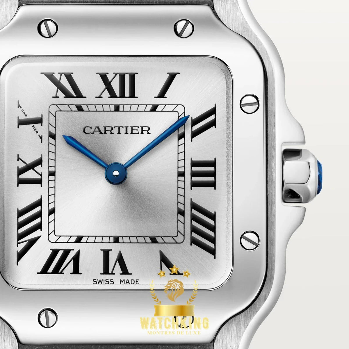 Santos de Cartier Petit modèle | Argenté | 34.5mm