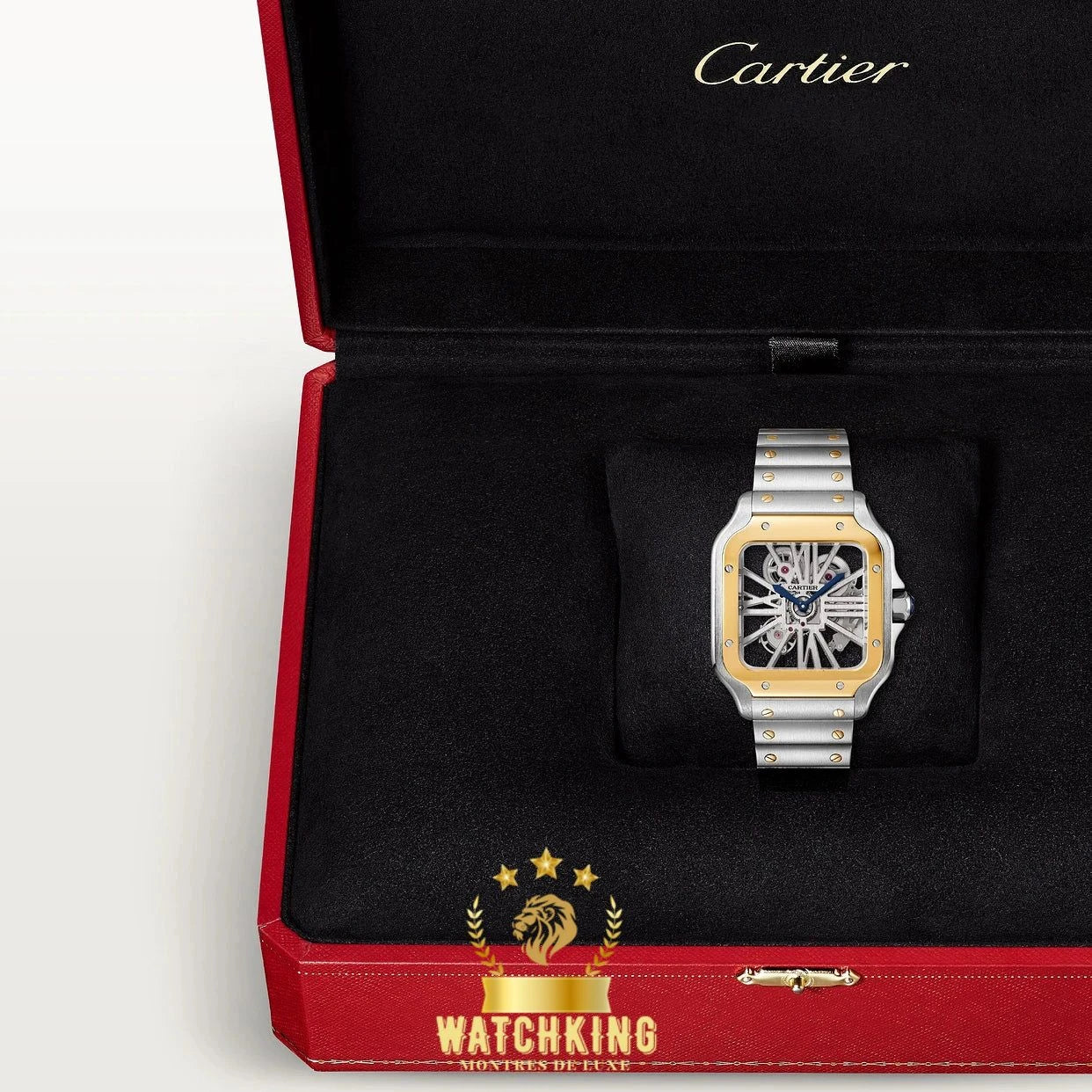 Santos de Cartier Skeleton