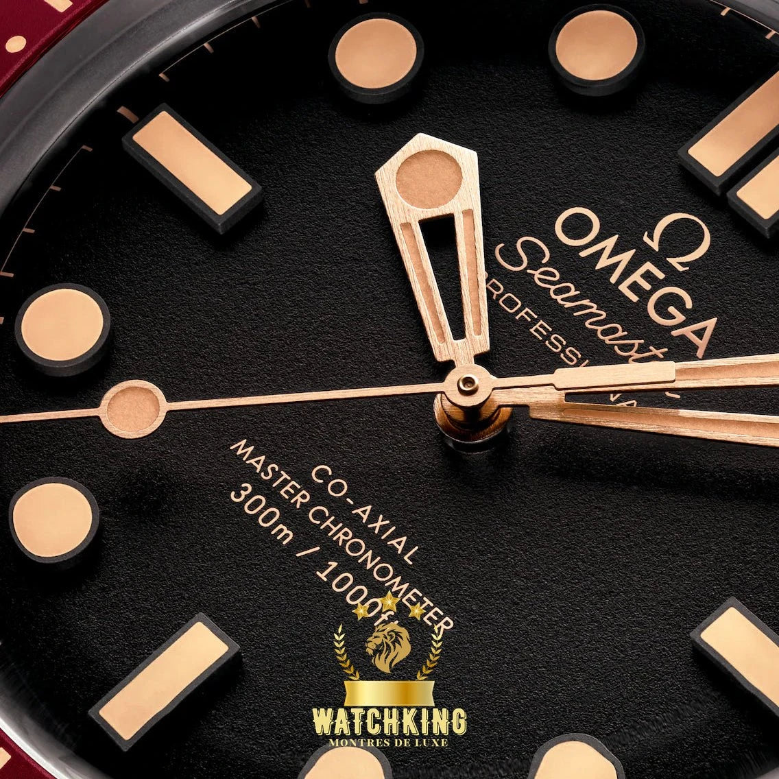 OMEGA Ω Seamaster DIVER 300M Bronze 42mm