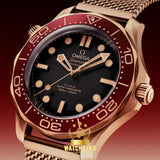 OMEGA Ω Seamaster DIVER 300M Bronze 42mm