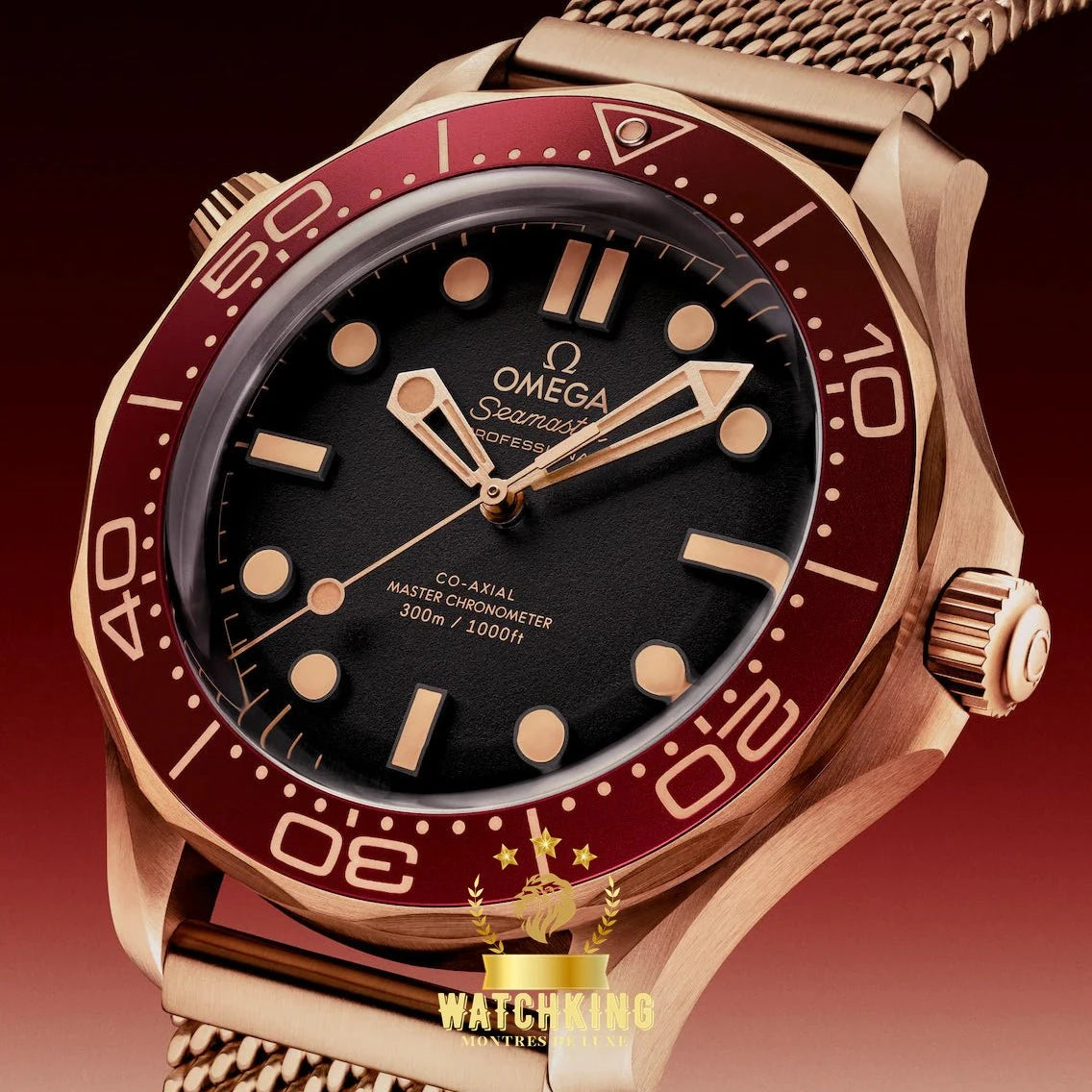 OMEGA Ω Seamaster DIVER 300M Bronze 42mm