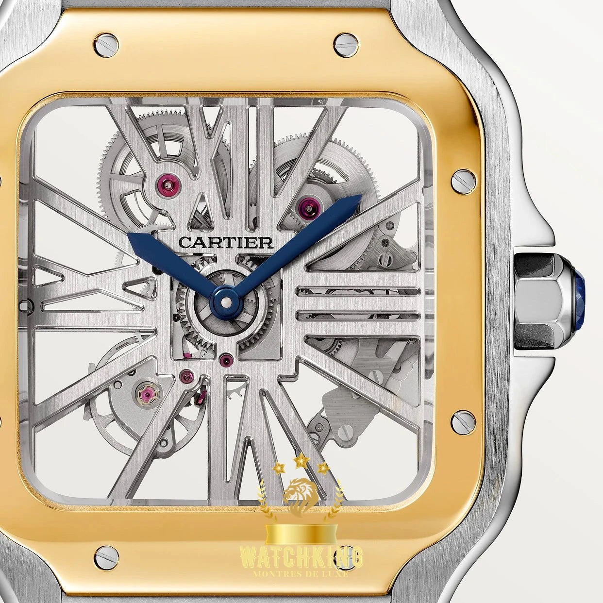 Santos de Cartier Skeleton