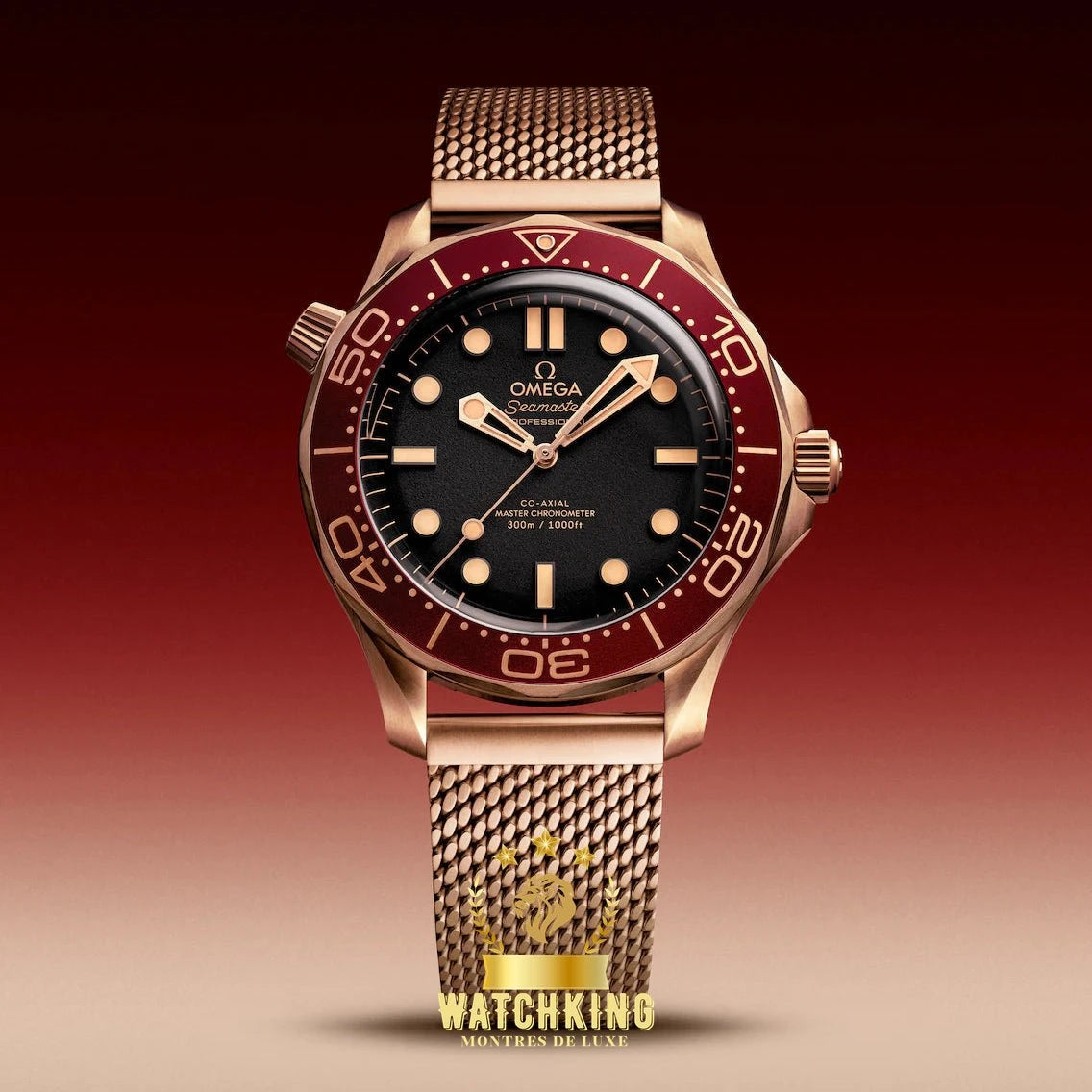 OMEGA Ω Seamaster DIVER 300M Bronze 42mm