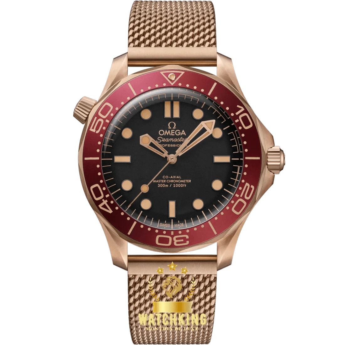 OMEGA Ω Seamaster DIVER 300M Bronze 42mm