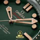 OMEGA Ω Seamaster DIVER 300M Vert 42mm