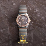 Omega Ω Constellation Météorite Marron