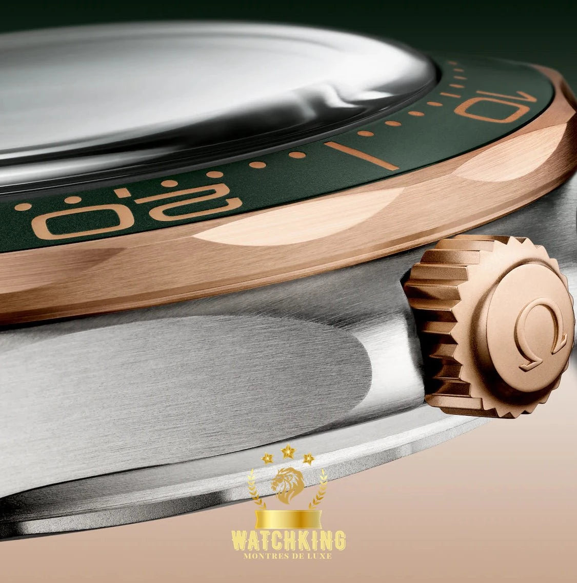 OMEGA Ω Seamaster DIVER 300M Vert 42mm