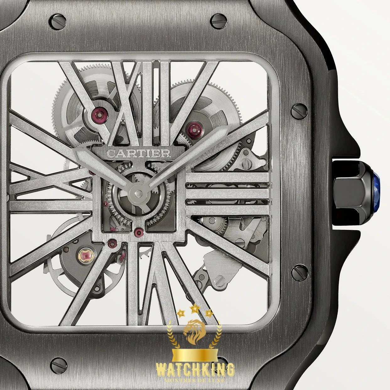 Santos de Cartier Skeleton