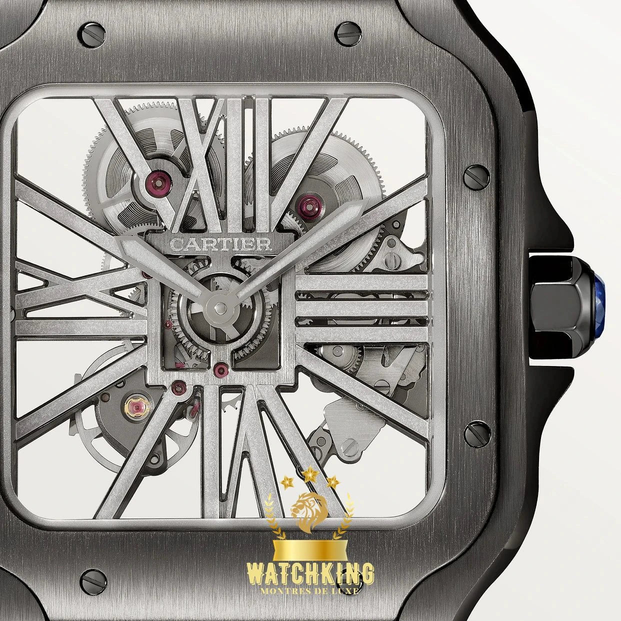 Santos de Cartier Skeleton