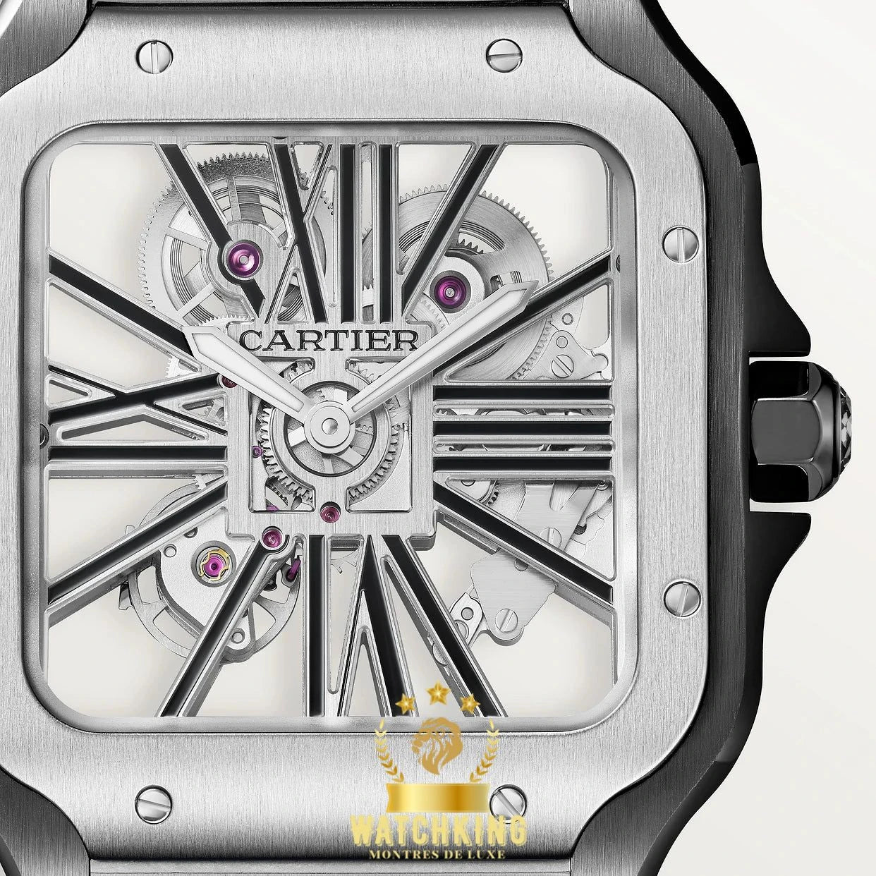 Santos de Cartier Skeleton