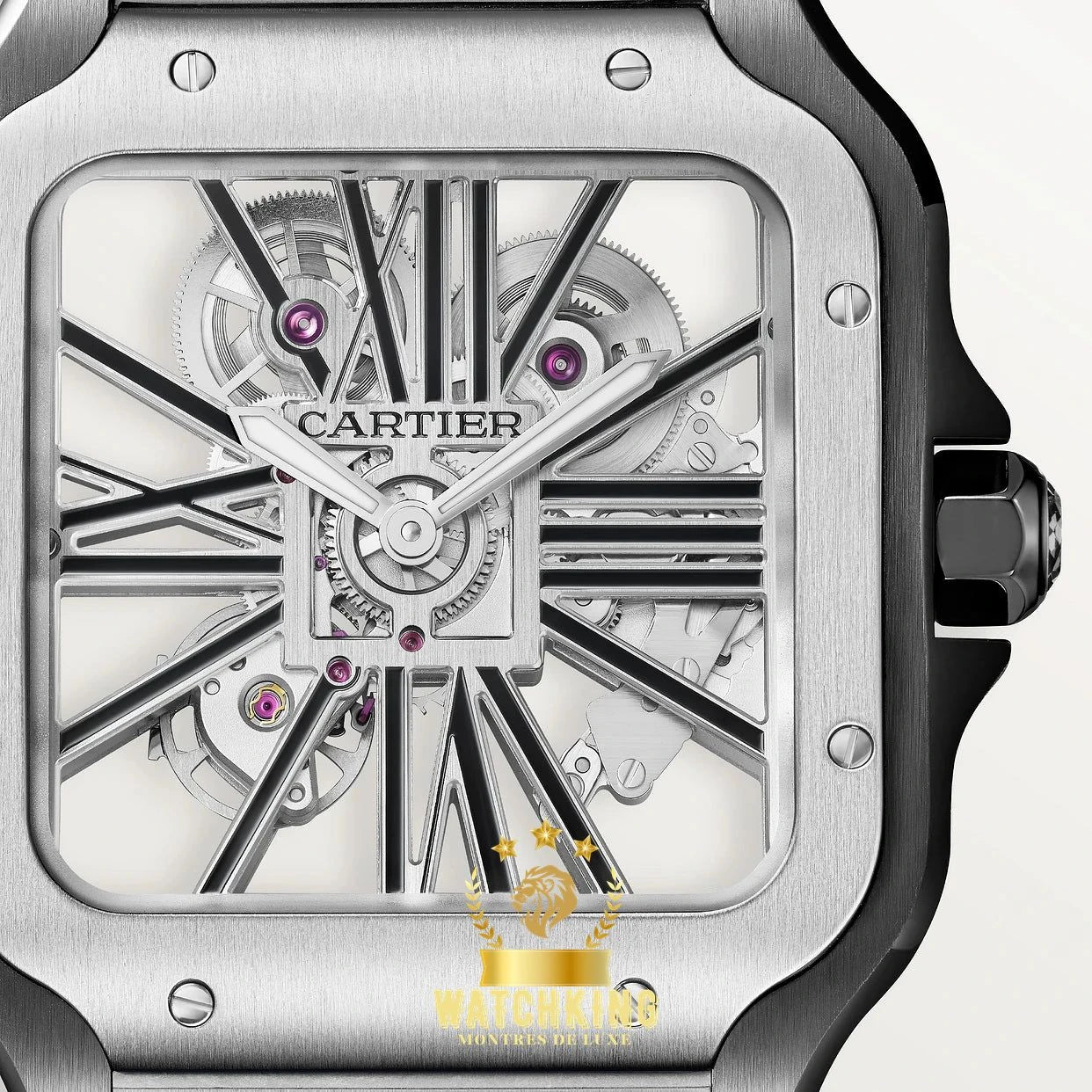 Santos de Cartier Skeleton