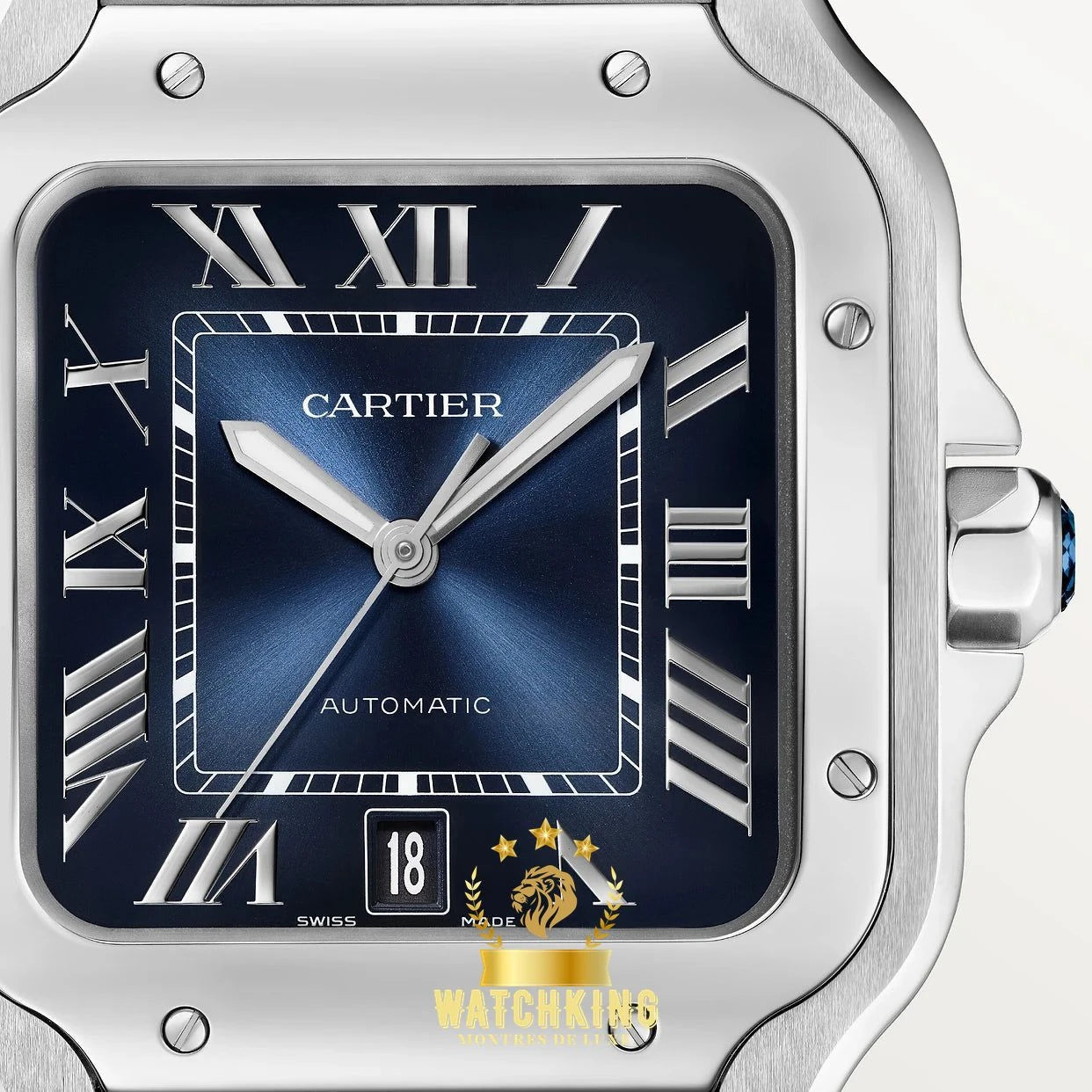 Santos de Cartier Bleu