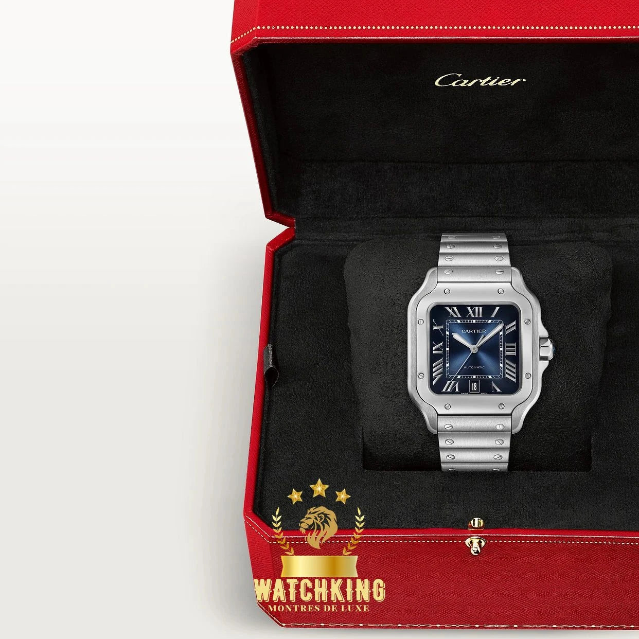 Santos de Cartier Bleu